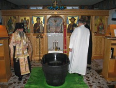 IMG_4575