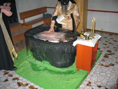 IMG_4563
